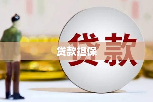 中和贷款担保
