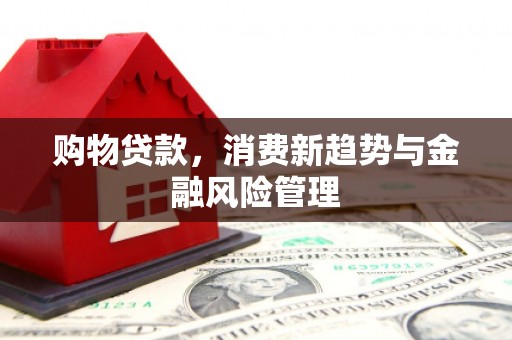 中和购物贷款，消费新趋势与金融风险管理