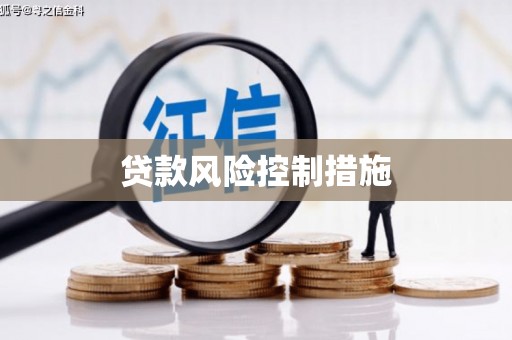 中和贷款风险控制措施