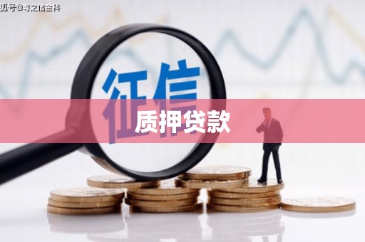 中和质押贷款