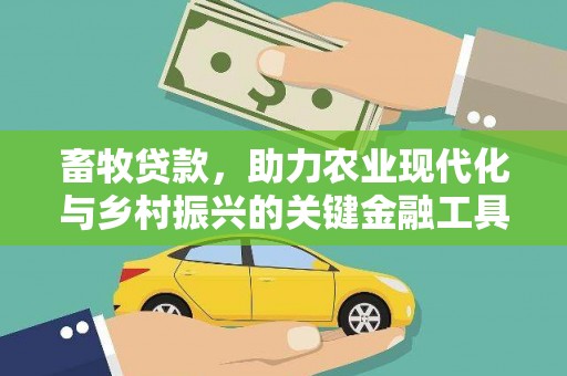 中和畜牧贷款，助力农业现代化与乡村振兴的关键金融工具