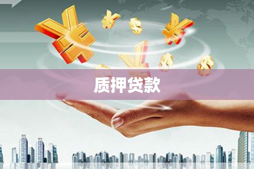 中和质押贷款