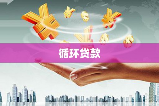 中和循环贷款