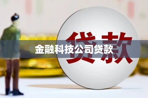 中和金融科技公司贷款