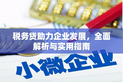 中和税务贷助力企业发展，全面解析与实用指南