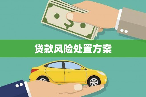 中和贷款风险处置方案