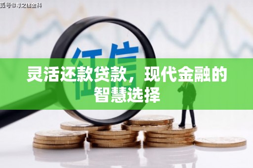 中和灵活还款贷款，现代金融的智慧选择