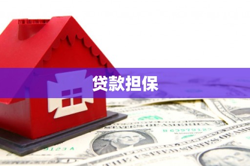 中和贷款担保