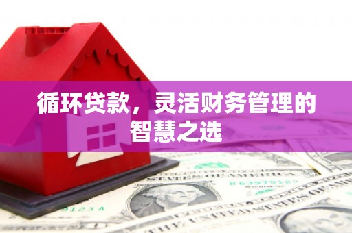 中和循环贷款，灵活财务管理的智慧之选