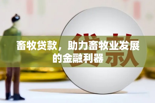 中和畜牧贷款，助力畜牧业发展的金融利器