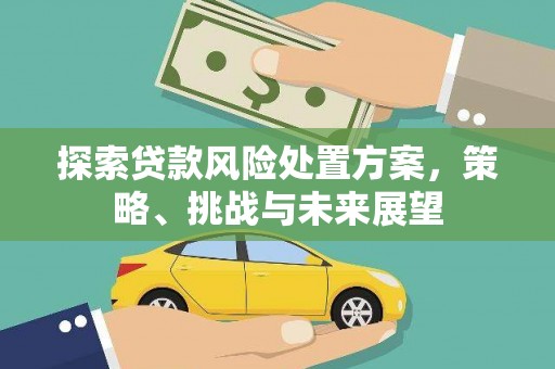 中和探索贷款风险处置方案，策略、挑战与未来展望