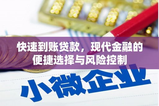 中和快速到账贷款，现代金融的便捷选择与风险控制