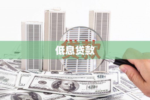 中和低息贷款
