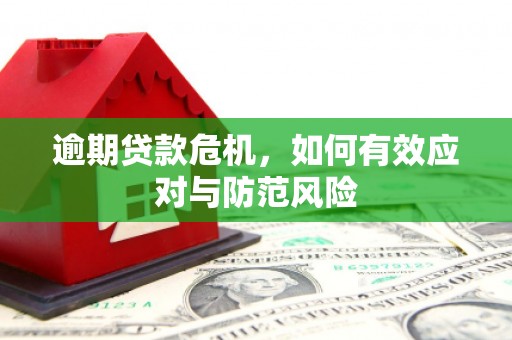 中和逾期贷款危机，如何有效应对与防范风险