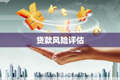中和贷款风险评估