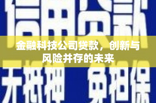 中和金融科技公司贷款，创新与风险并存的未来