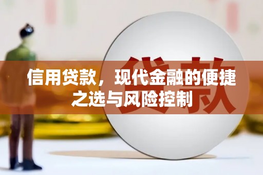 中和信用贷款，现代金融的便捷之选与风险控制