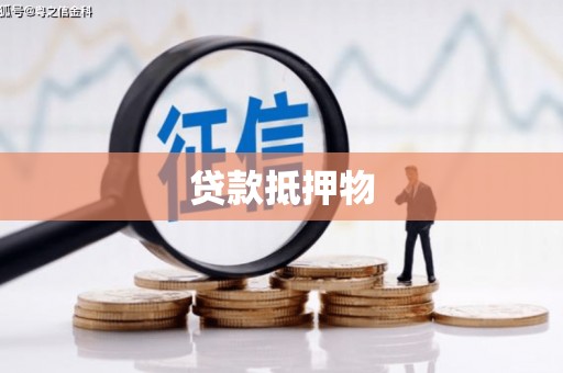 中和贷款抵押物