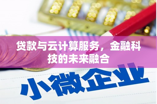 中和贷款与云计算服务，金融科技的未来融合