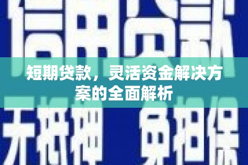 中和短期贷款，灵活资金解决方案的全面解析