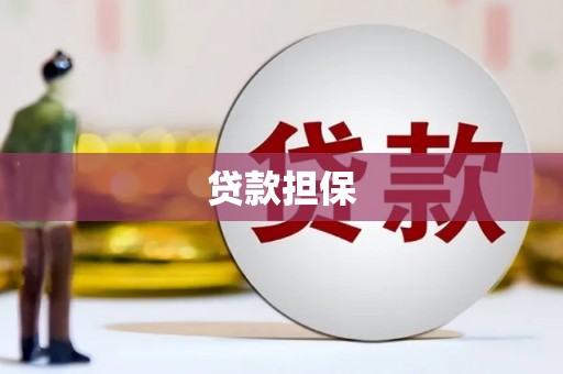 中和贷款担保