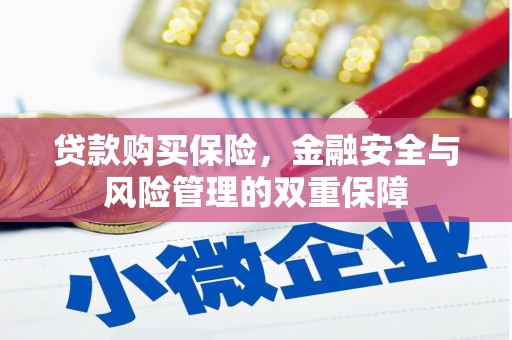 中和贷款购买保险，金融安全与风险管理的双重保障