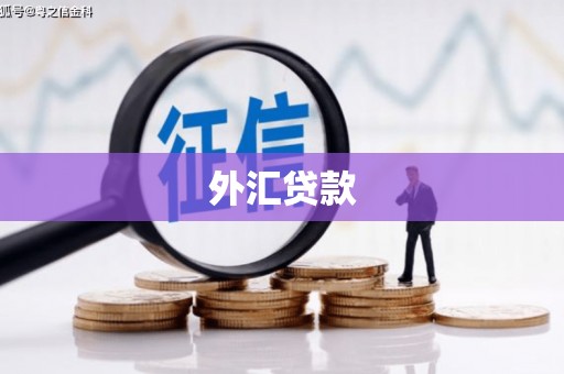 中和外汇贷款