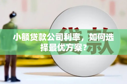 中和小额贷款公司利率，如何选择最优方案？