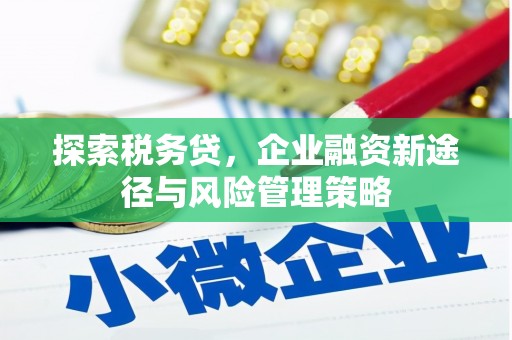 中和探索税务贷，企业融资新途径与风险管理策略