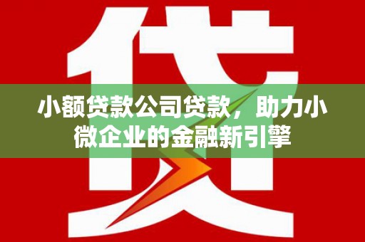 中和小额贷款公司贷款，助力小微企业的金融新引擎