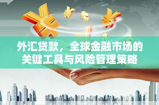中和外汇贷款，全球金融市场的关键工具与风险管理策略