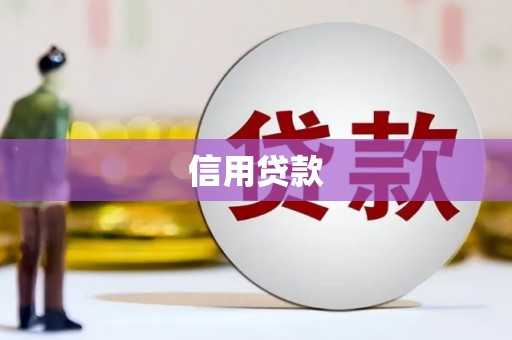 中和信用贷款