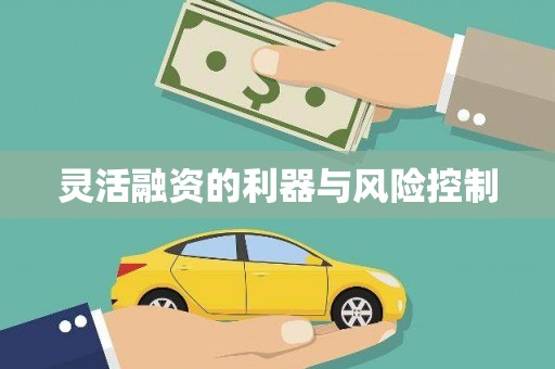 中和灵活融资的利器与风险控制