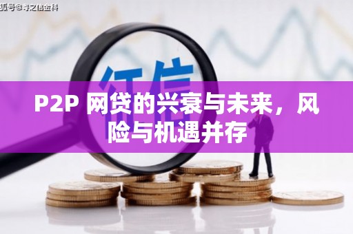 中和P2P 网贷的兴衰与未来，风险与机遇并存
