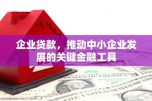 中和企业贷款，推动中小企业发展的关键金融工具
