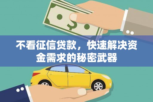 中和不看征信贷款，快速解决资金需求的秘密武器