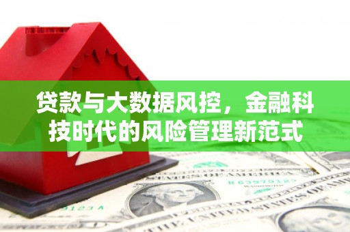 中和贷款与大数据风控，金融科技时代的风险管理新范式