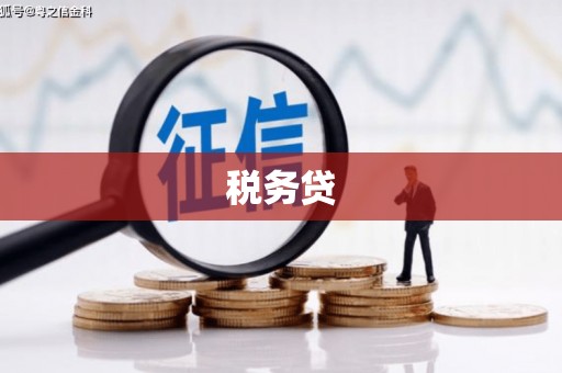 中和税务贷