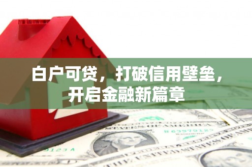 中和白户可贷，打破信用壁垒，开启金融新篇章
