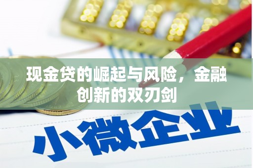 中和现金贷的崛起与风险，金融创新的双刃剑