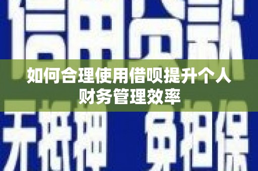 中和如何合理使用借呗提升个人财务管理效率