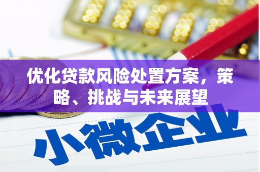 中和优化贷款风险处置方案，策略、挑战与未来展望