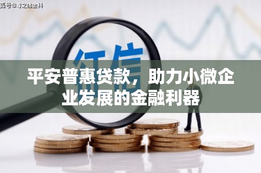 中和平安普惠贷款，助力小微企业发展的金融利器