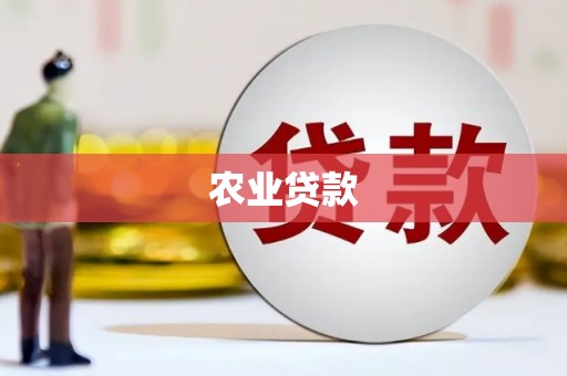 中和农业贷款