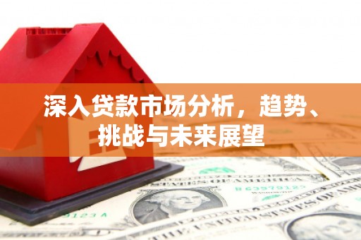 中和深入贷款市场分析，趋势、挑战与未来展望
