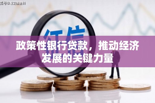 中和政策性银行贷款，推动经济发展的关键力量