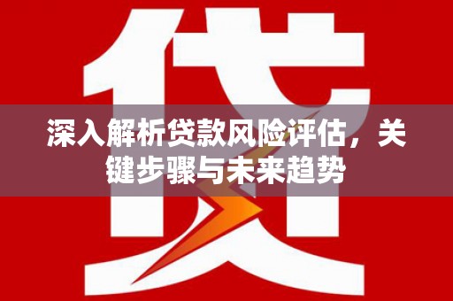 中和深入解析贷款风险评估，关键步骤与未来趋势