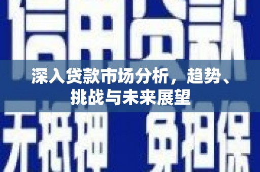 中和深入贷款市场分析，趋势、挑战与未来展望