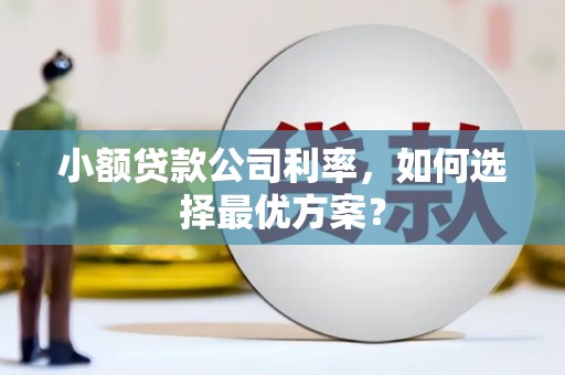 中和小额贷款公司利率，如何选择最优方案？
