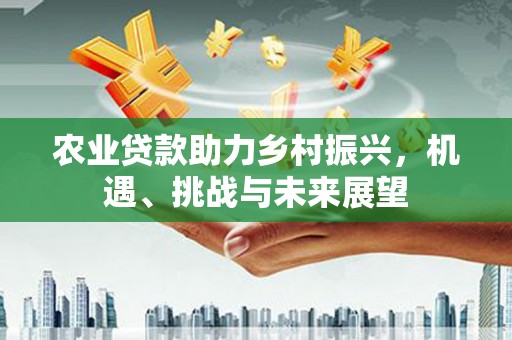 中和农业贷款助力乡村振兴，机遇、挑战与未来展望
